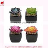 Artificial Mini Succulents Potted Succulent Plant Wholesale Small Succulent Plants thumbnail-3