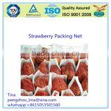 First-Rate Competitive PE Flower Packing Net thumbnail-2