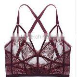 Runwaylover 5332 Hot Sale Ladie Sexy Ladies New Bra Set thumbnail-6