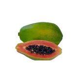 Red Lady Type Papaya Seeds 709 thumbnail-1