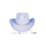 wool felt cowboy hat,grey