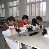 Hefei Yimaier Information Ltd company overview - view 1 thumbnail