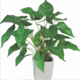 China Wholesale Artificial Caladium Tree Bonsai for Decoration With Real Looking Leaves