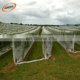 HDPE Black Plastic Mesh Netting With UV thumbnail-5