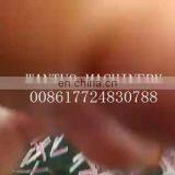 Automatic Bamboo Tooth Picker Producing Machine