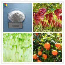 6ba Plant Rooting Hormone 6bap 6benzylaminopurin 99%tc thumbnail-2