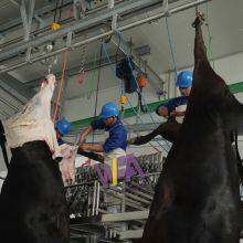 Design Mini Cow Slaughterhouse Equipment Cattle Halal Meat Processing Slaughter Machine thumbnail-3