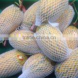 Fruit Foam Package Sock thumbnail-1