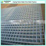 HIgh Quality Galvanized Bird Cage Welded Wire Mesh thumbnail-5