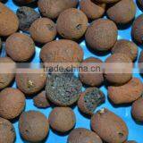 Light expanded clay aggregate balls