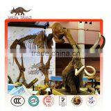 Life Size Plastic Dinosaur Fossil-Theme Park Equipment for Sale