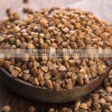 Buckwheat Price