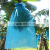 30micron plastic banana cultivation bag for Taiwan