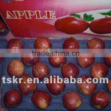 Fruit Seasons Green Apple Red Apple thumbnail-1