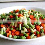 Canned Mix Vegetable Seasoned Vegetable Green Peas and Carrot thumbnail-4