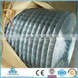 SQ - горячая продажа сварной сетки 4*4 (производство в Анпинге)