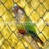 11 Gauge Chain Link Fence(Youjie Factory)