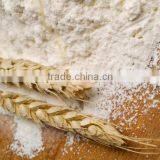 Wheat Flour for Sale in Bulk thumbnail-1