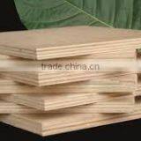 Melamin Plywood 18mm for Outdoor Construction thumbnail-5