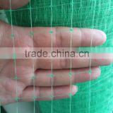 extruded anti-bird net(professional factory,reasonable price with high quality)