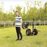 1000watt Battery Electric Scooter With Pedal thumbnail-2