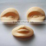 Cosmetic Tattoo Practice Mannequin Head With Removablve Lips and Eyes thumbnail-6