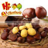 Tianjin Chestnut thumbnail-1