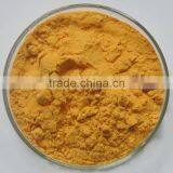 Chinese Wolfberry Extract Goji Berry Extract Powder thumbnail-1