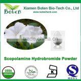 Natural Pure Scopolamine Powder