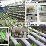 Seed Starting Rockwool Cubes