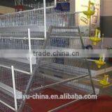 Poultry Farming Cages in Kenya thumbnail-4