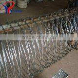 Barbed Ribbon thumbnail-1