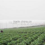 Professional center pivot irrigation system for sale