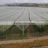 China Factory Plastic Anti Hail Netting / Anti Hail Net