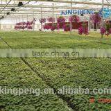 Vegetable Growing Greenhouse thumbnail-2