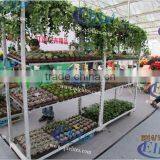 252 Seedling Retail Containers thumbnail-1