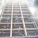 Industrial Electric Vibrating Sifter Screen Sieve for Pharmaceutical Chemical Flour thumbnail-4