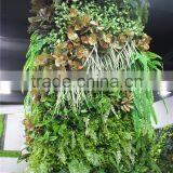 Stickers Home Garden Deco 300cm Tall Indoor or Outdoor Artificial Plain Green Climbing Column Plant Wall Ezwq10 1021 thumbnail-1