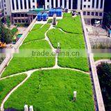 HDPE Dimple Drainage Borad With Geotextile Waterproofing for Roof Garden thumbnail-5