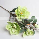 Best Quality Colorful Plastic Kapok Decorative Kapok Flowers for Decoration thumbnail-4