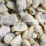 Frozen Short-neck Clam Meat in Bulk thumbnail-2