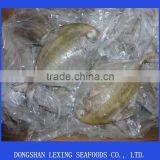 Whole Round Black Pomfret Fish