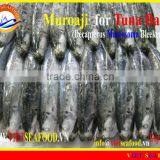 FROZEN MUROAJI FOR TUNA BAIT thumbnail-5