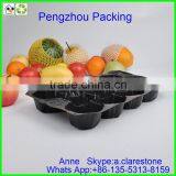 Pengzhou Cpu Processor Plastic Clamshell Box Tray thumbnail-5