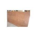 Brown Film Faced Plywood Supply thumbnail-3