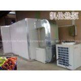 heat pump dryer for preserved fruit