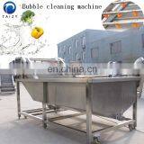 Fruit Cleaner Persimmon Papaya Carrot Washing Machine Restaurant Vegetable Washing Machine thumbnail-5