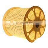 High Power 220V Waterproof Flexible Led Light Strips 152leds/m Double Row 2835 Led Light Strip