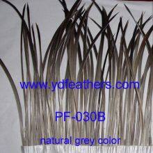 Stripped Grey Goose Biots Fringe Feather for Wholesale From China