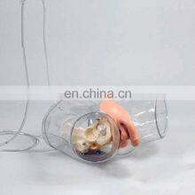 Transparent Male Catheterization Model Nursing Training Manikin thumbnail-3